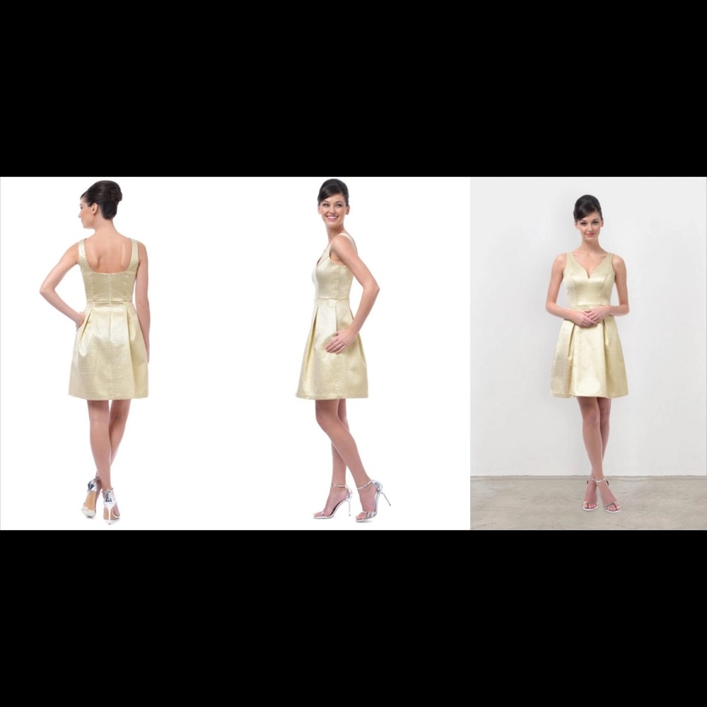 Gorgeous Vivian jacquard dress